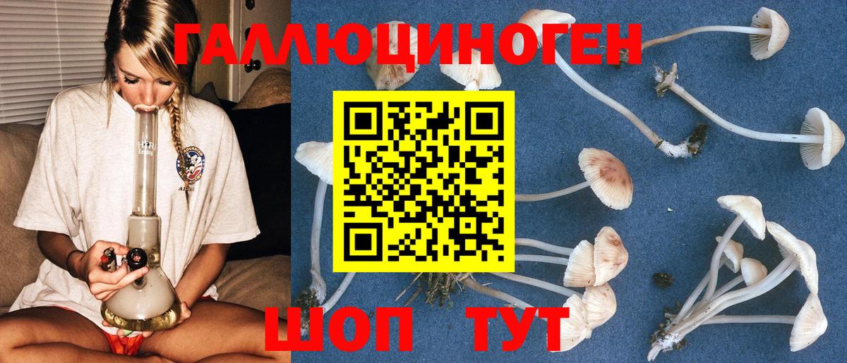 Псилоцибиновые грибы Cubensis Кунгур
