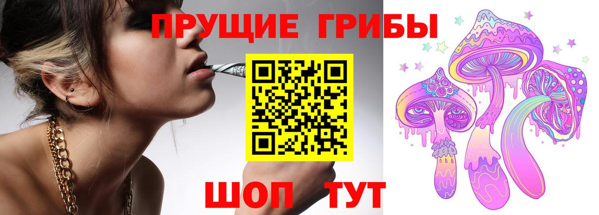Галлюциногенные грибы прущие грибы  Вход с VPN  Кунгур 